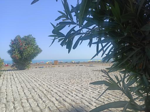 عکس ایستگاه تفریحی جت اسکی و چهارچرخ ساحل