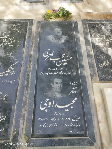 عکس مزار مجید اوجی