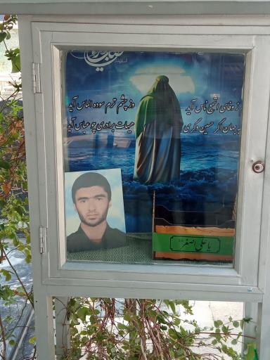 عکس مزار شهید احمد علی نیری