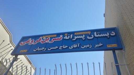 عکس دبستان پسرانه نسرین فروغی ابری
