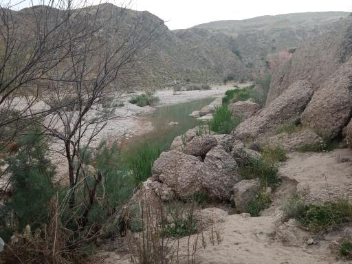 عکس دریاچه دشت ارژن