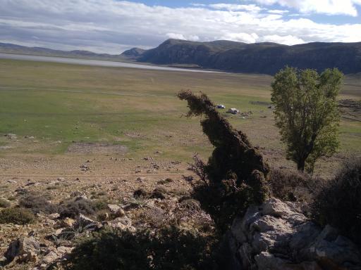 عکس دریاچه دشت ارژن