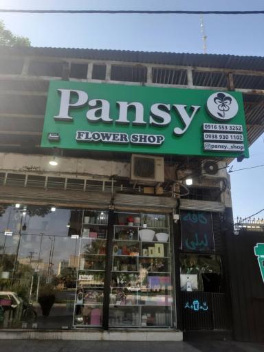 گل پانسی