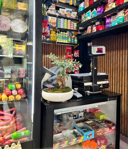 عکس پروتئین بهار