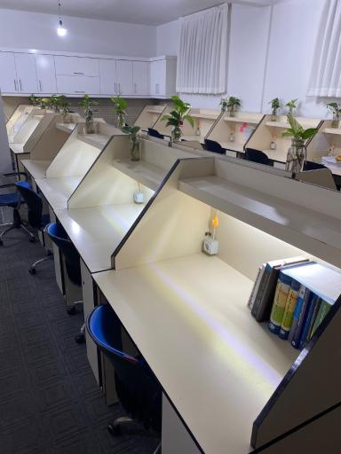 عکس سالن مطالعه مسیر سبز 