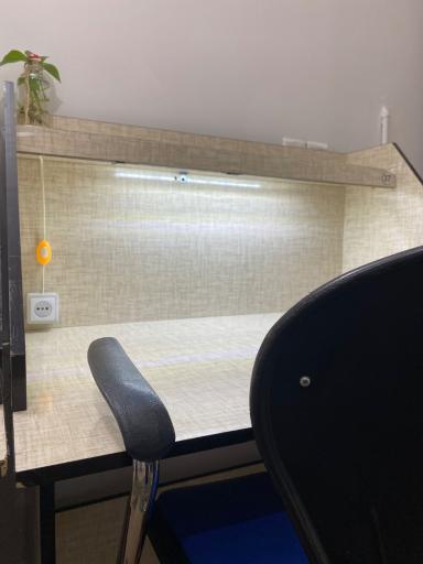 سالن مطالعه مسیر سبز 