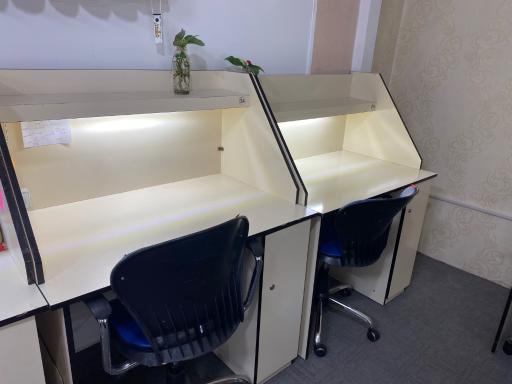 سالن مطالعه مسیر سبز 