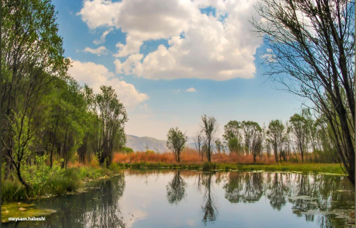 عکس دریاچه دشت ارژن