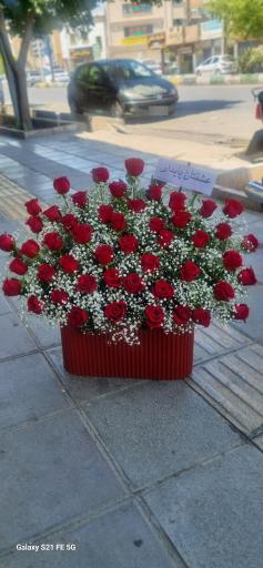 عکس گلفروشی آرالیا