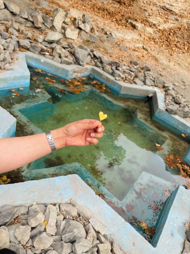 عکس چشمه مروارید