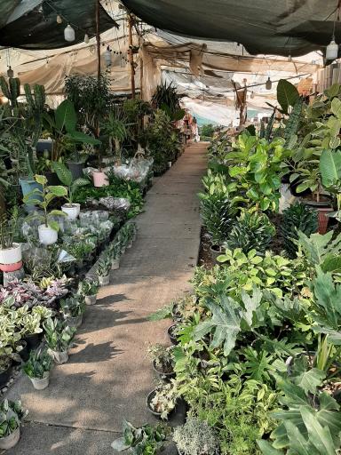 عکس بازار گل