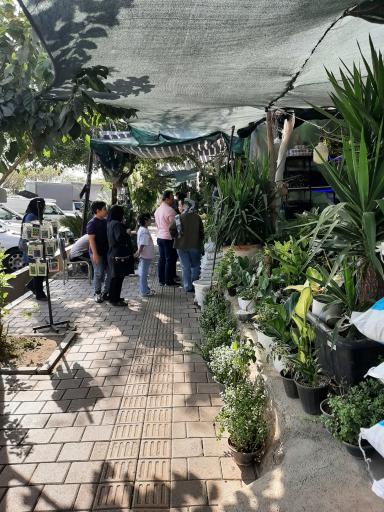 عکس بازار گل