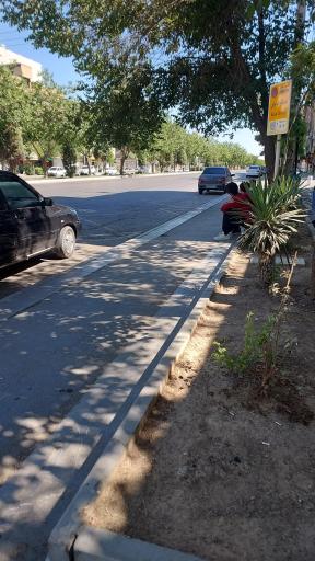 عکس  امامت 41