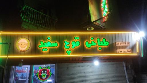 عکس طباخی قوچ سفید