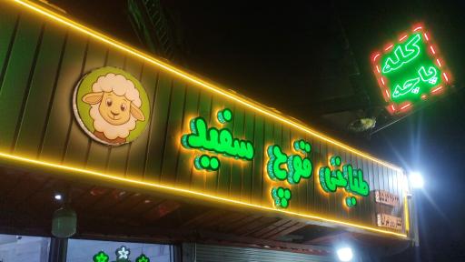 عکس طباخی قوچ سفید
