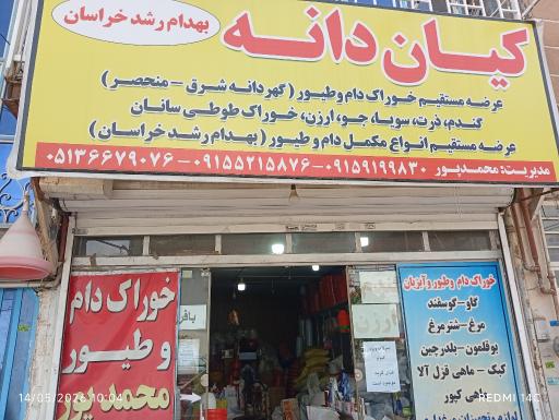 عکس خوراک دام و طیور کیان دانه