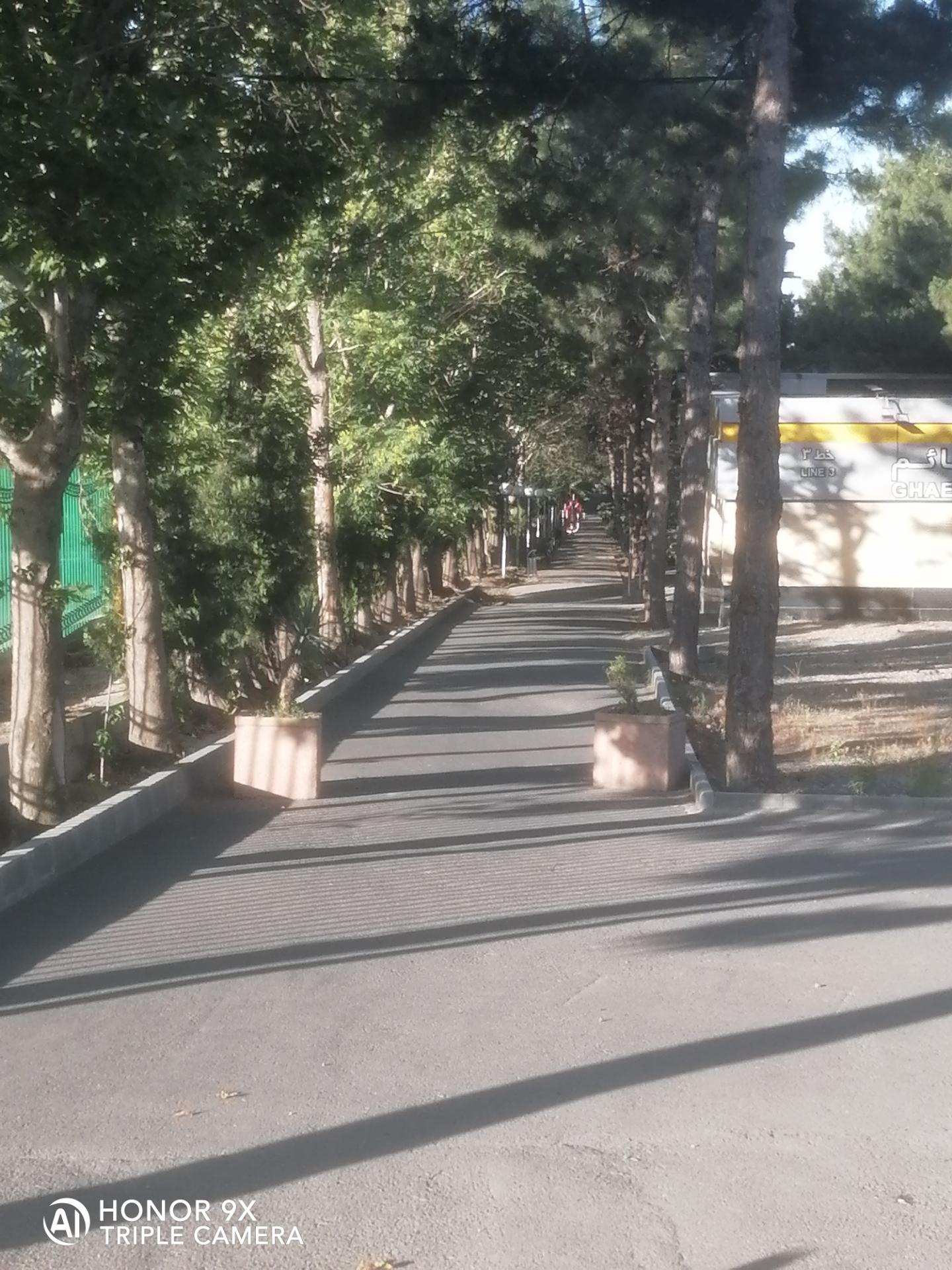 عکس بوستان میلاد