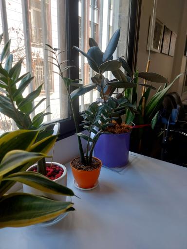 عکس مطب دکتر اشرف علی مددی فوق تخصص اندوکرینولوژی