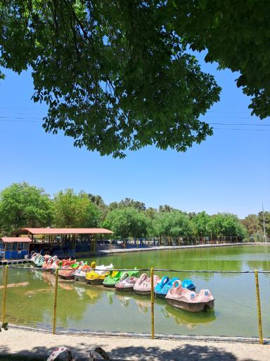 عکس دریاچه قایق پدالی قو