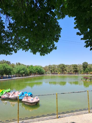 دریاچه قایق پدالی قو