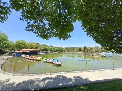 دریاچه قایق پدالی قو