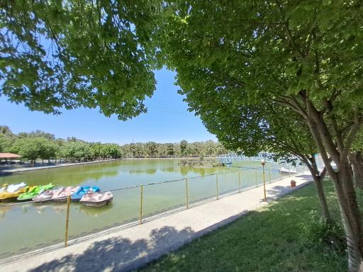 عکس دریاچه قایق پدالی قو