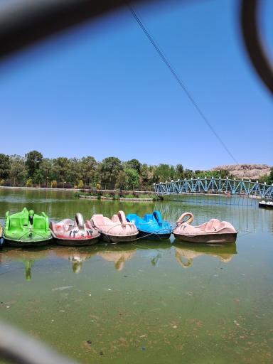 عکس دریاچه قایق پدالی قو