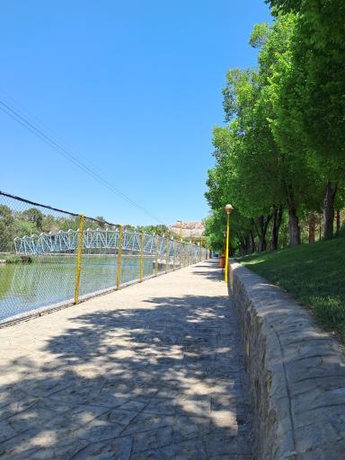 عکس دریاچه قایق پدالی قو