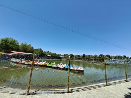 عکس دریاچه قایق پدالی قو