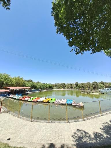 عکس دریاچه قایق پدالی قو