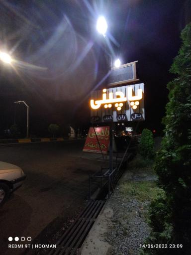 عکس پاچینی دوآتیشه