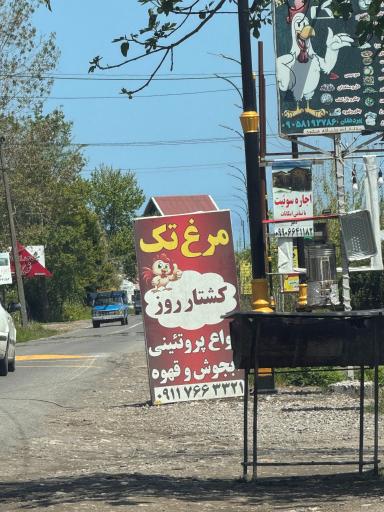 عکس مرغ تک (کشتار روز)