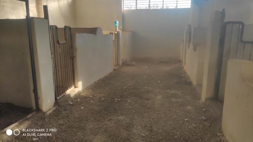 عکس باشگاه سوارکاری سنجابی 