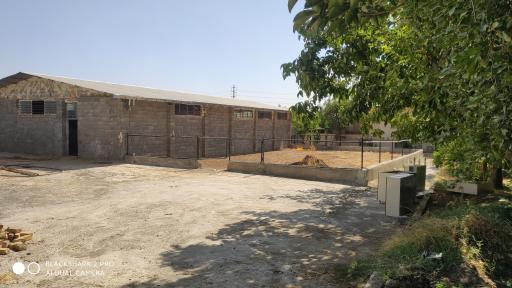 عکس باشگاه سوارکاری سنجابی 