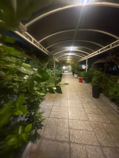 عکس جایگاه تشریفات (CIP)