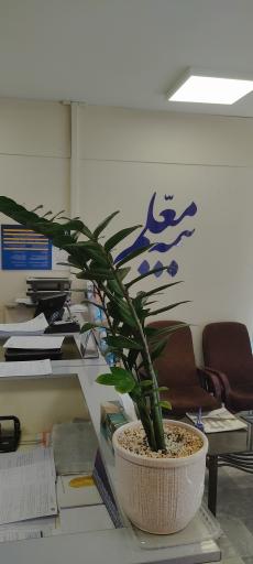 عکس بیمه معلم خمینی شهر 