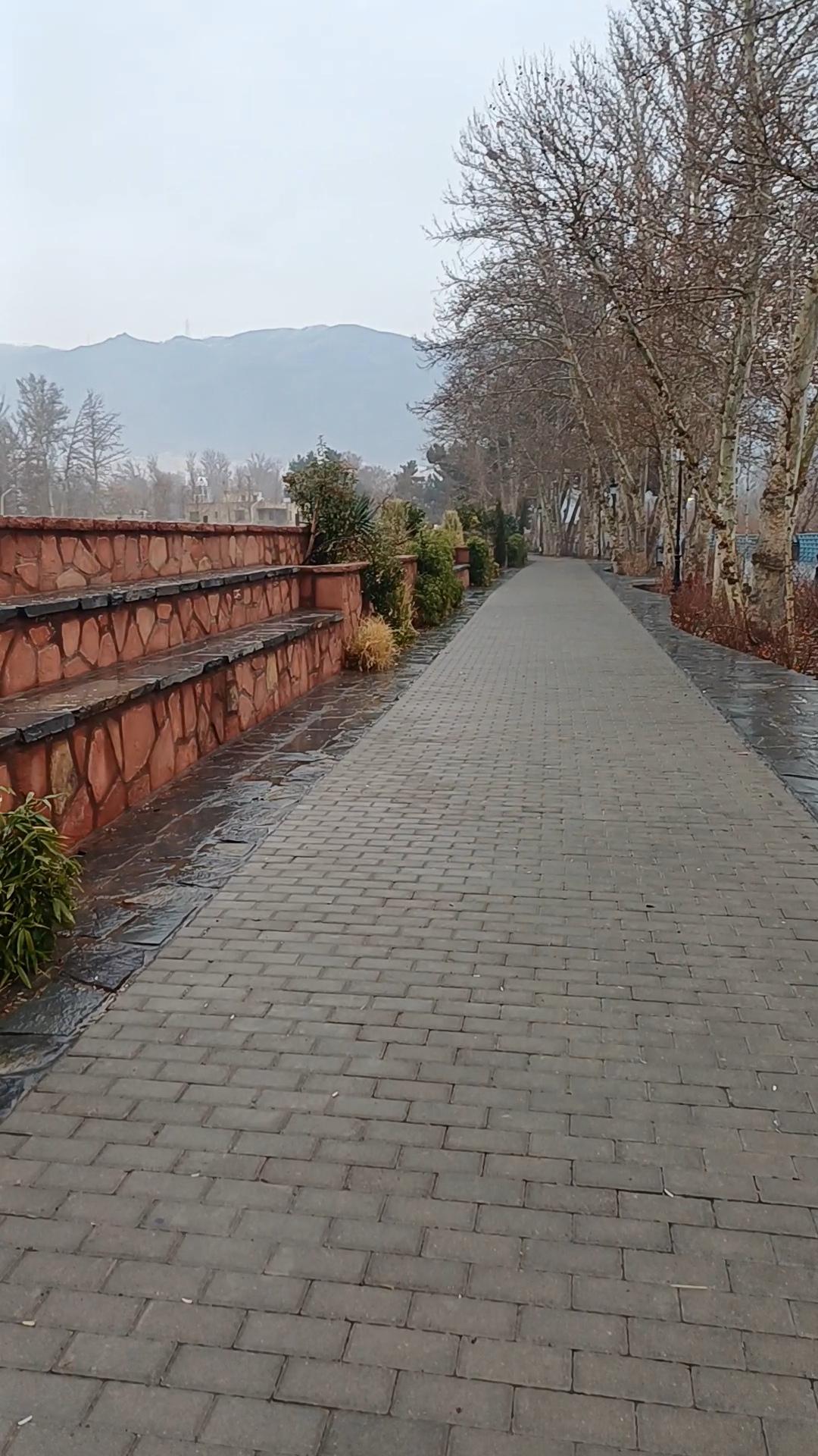 عکس پارکرود 