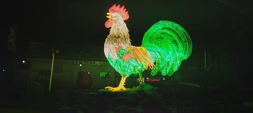 عکس شهرداری رویان