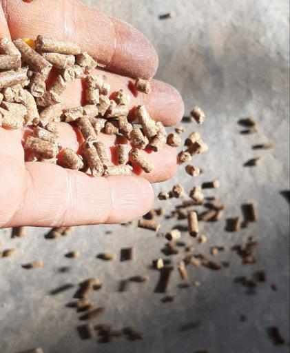 عکس کارخانه خوراک دام و طیوردشت رویا