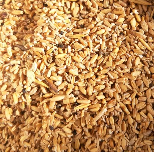 عکس کارخانه خوراک دام و طیوردشت رویا