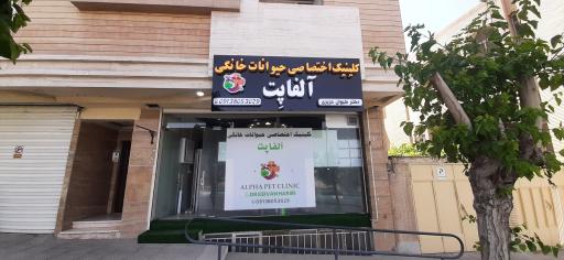 عکس کلینیک دامپزشکی حیوانات خانگی آلفا پِت