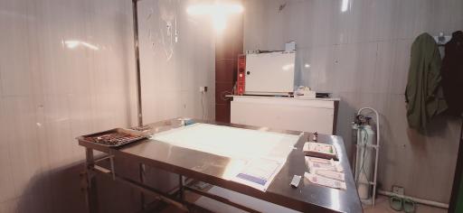 عکس کلینیک دامپزشکی حیوانات خانگی آلفا پِت