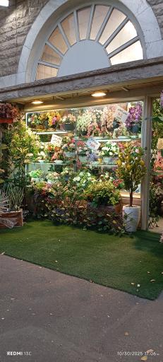 عکس گل لاریس