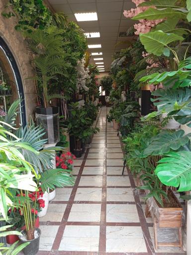 عکس گل لاریس