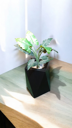 عکس گل لاریس