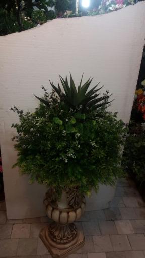 عکس گل لاریس