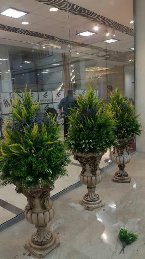 عکس گل لاریس