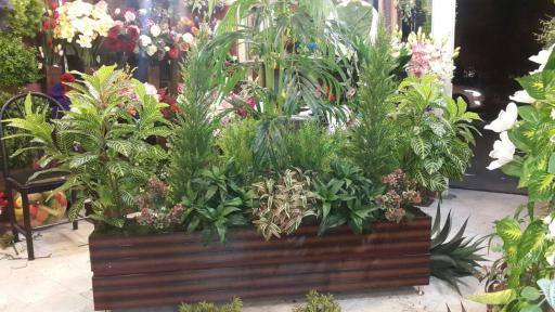 عکس گل لاریس