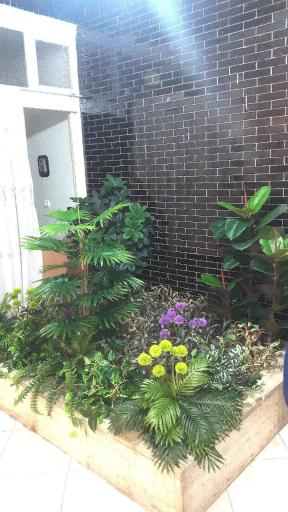 عکس گل لاریس