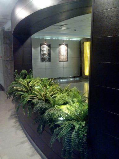 عکس گل لاریس